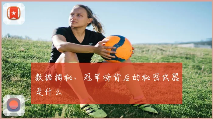 数据揭秘，冠军榜背后的秘密武器是什么