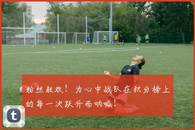 粉丝狂欢！为心中战队在积分榜上的每一次跃升而呐喊！