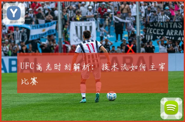 UFC高光时刻解析:技术流如何主宰比赛