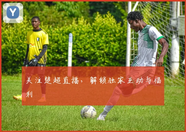 关注楚超直播，解锁独家互动与福利