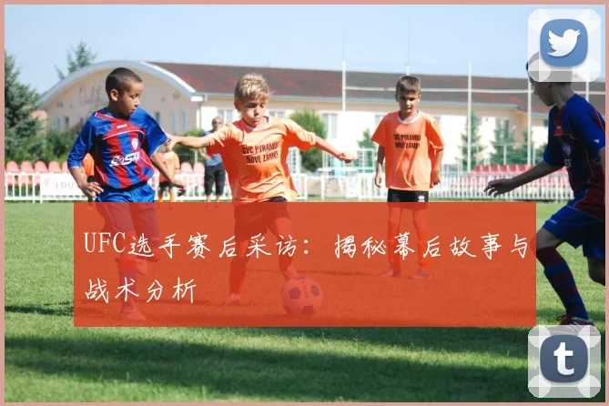 UFC选手赛后采访：揭秘幕后故事与战术分析