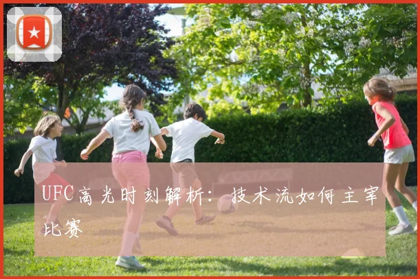 UFC高光时刻解析:技术流如何主宰比赛