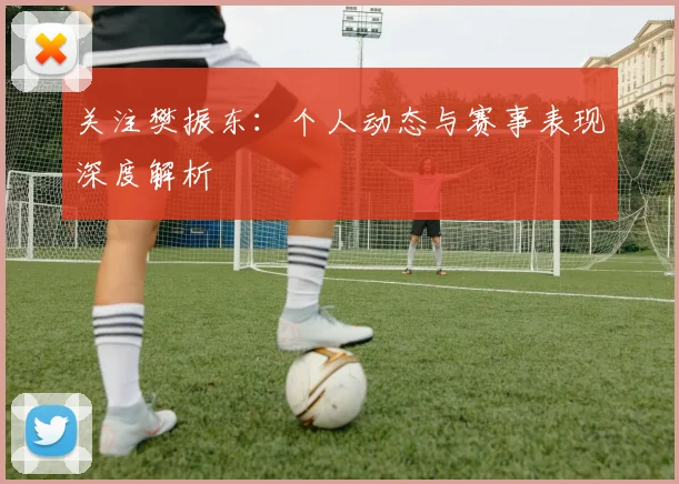 关注樊振东：个人动态与赛事表现深度解析